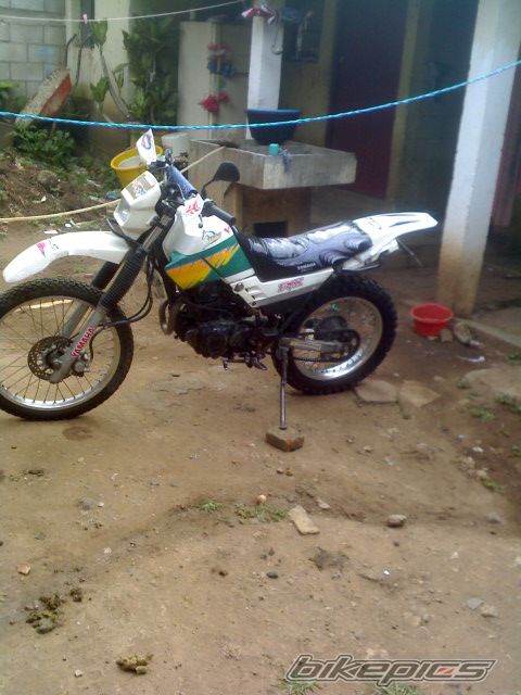 Photo 1738343