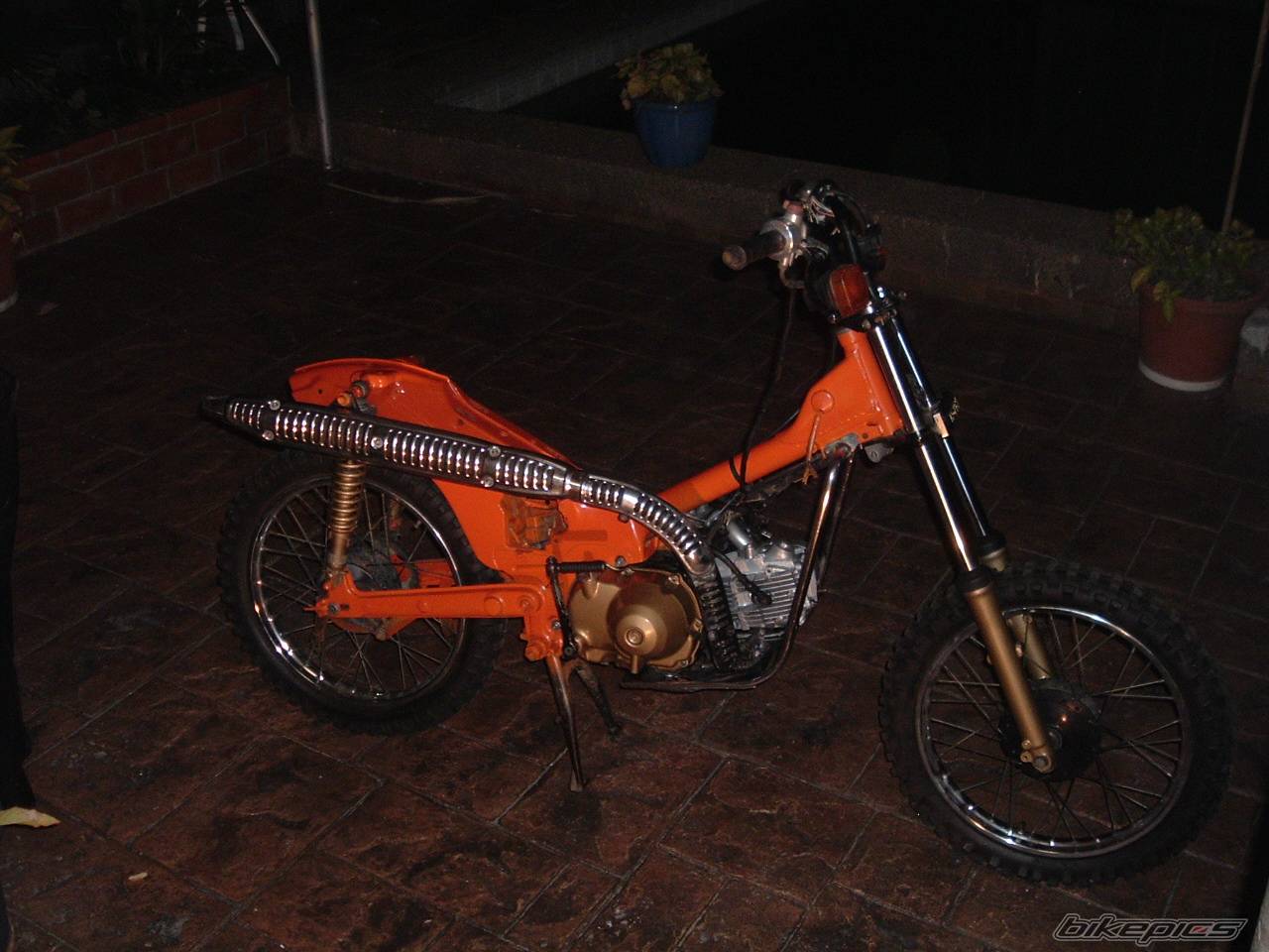 Photo 173856