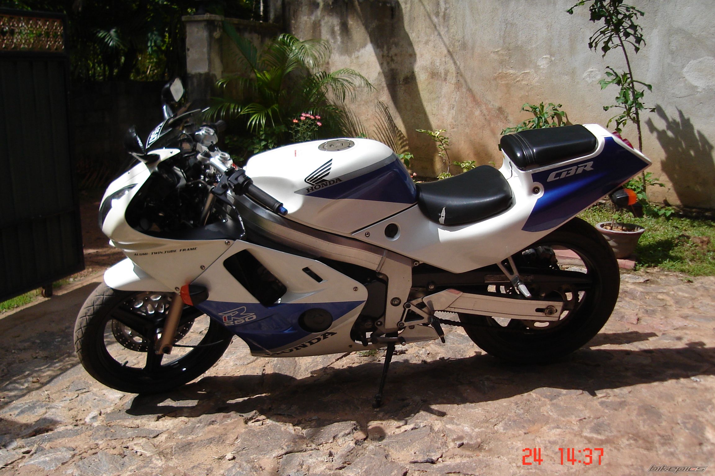 Photo 1738579