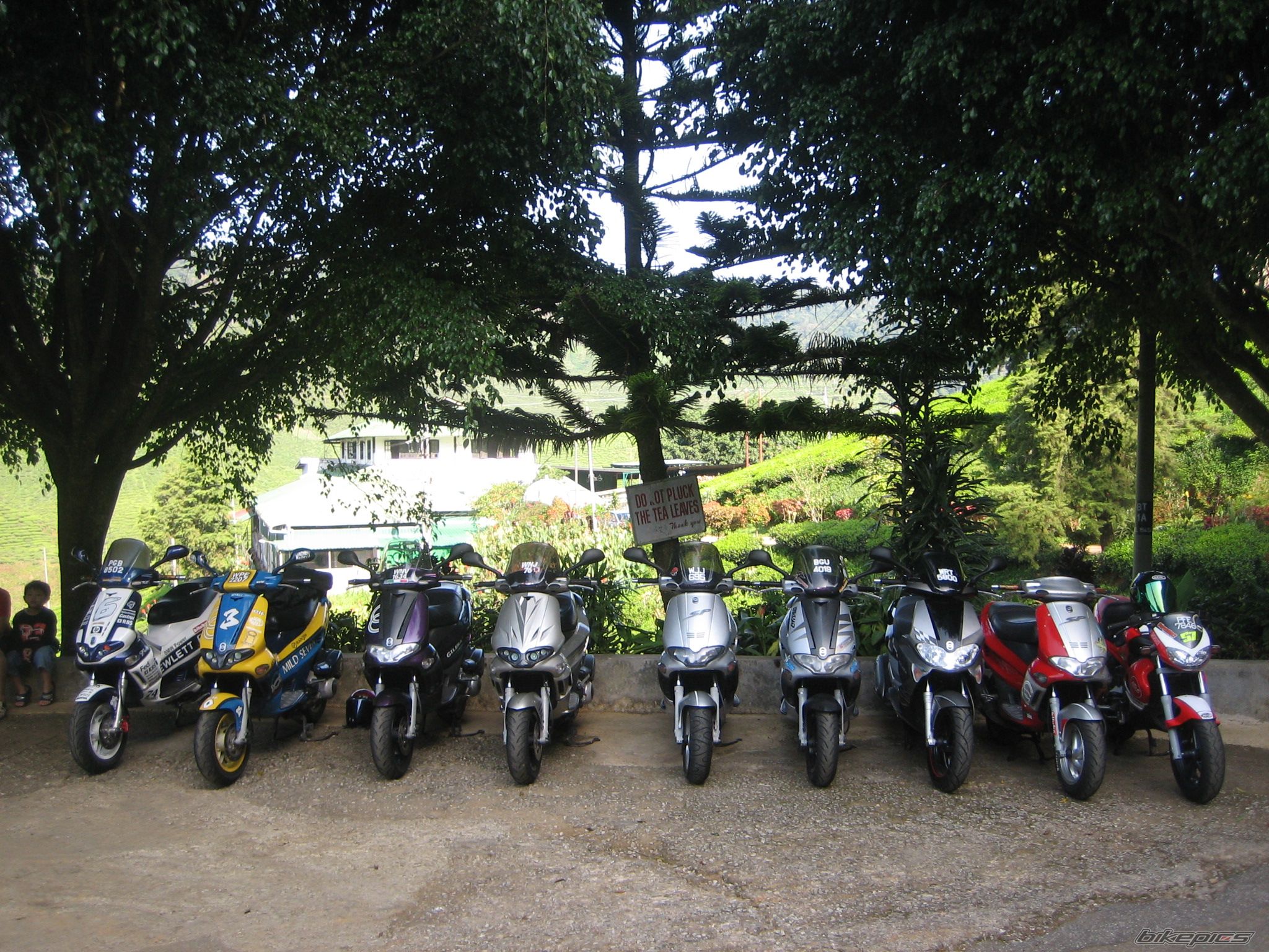 Bike Photo 1738668