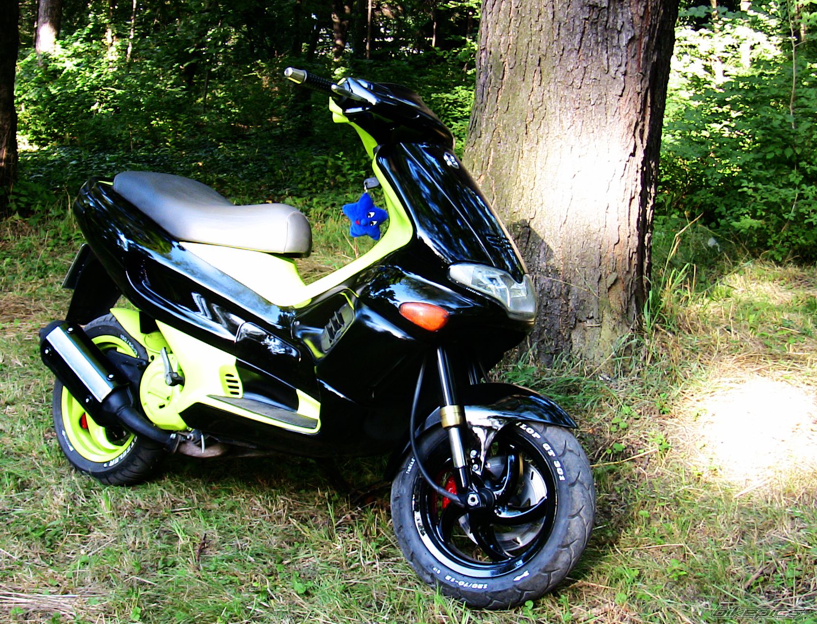 Photo 1738768