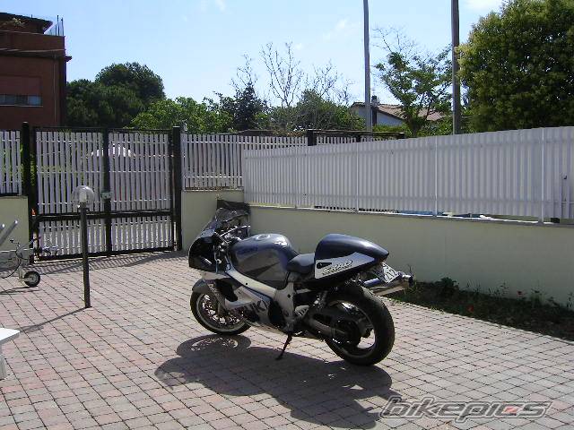 Photo 173885