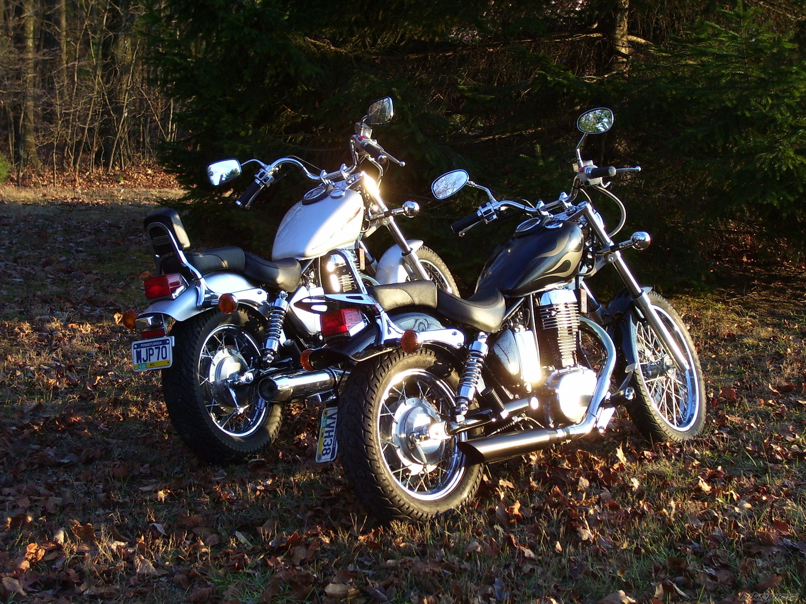 Photo 1738875