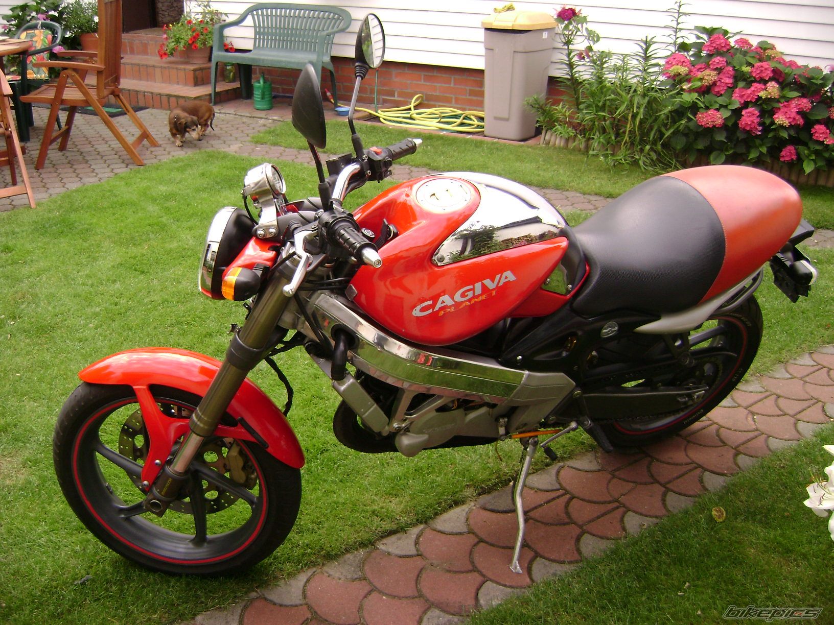 Photo 1738997