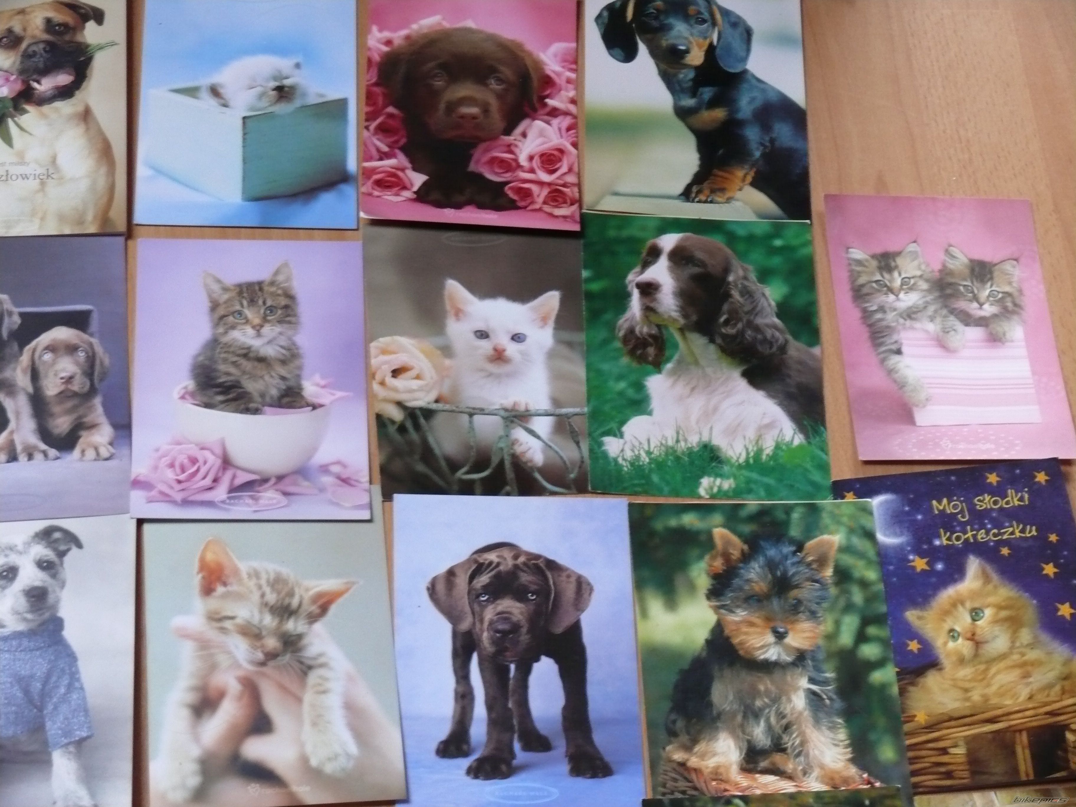 Photo 1739064