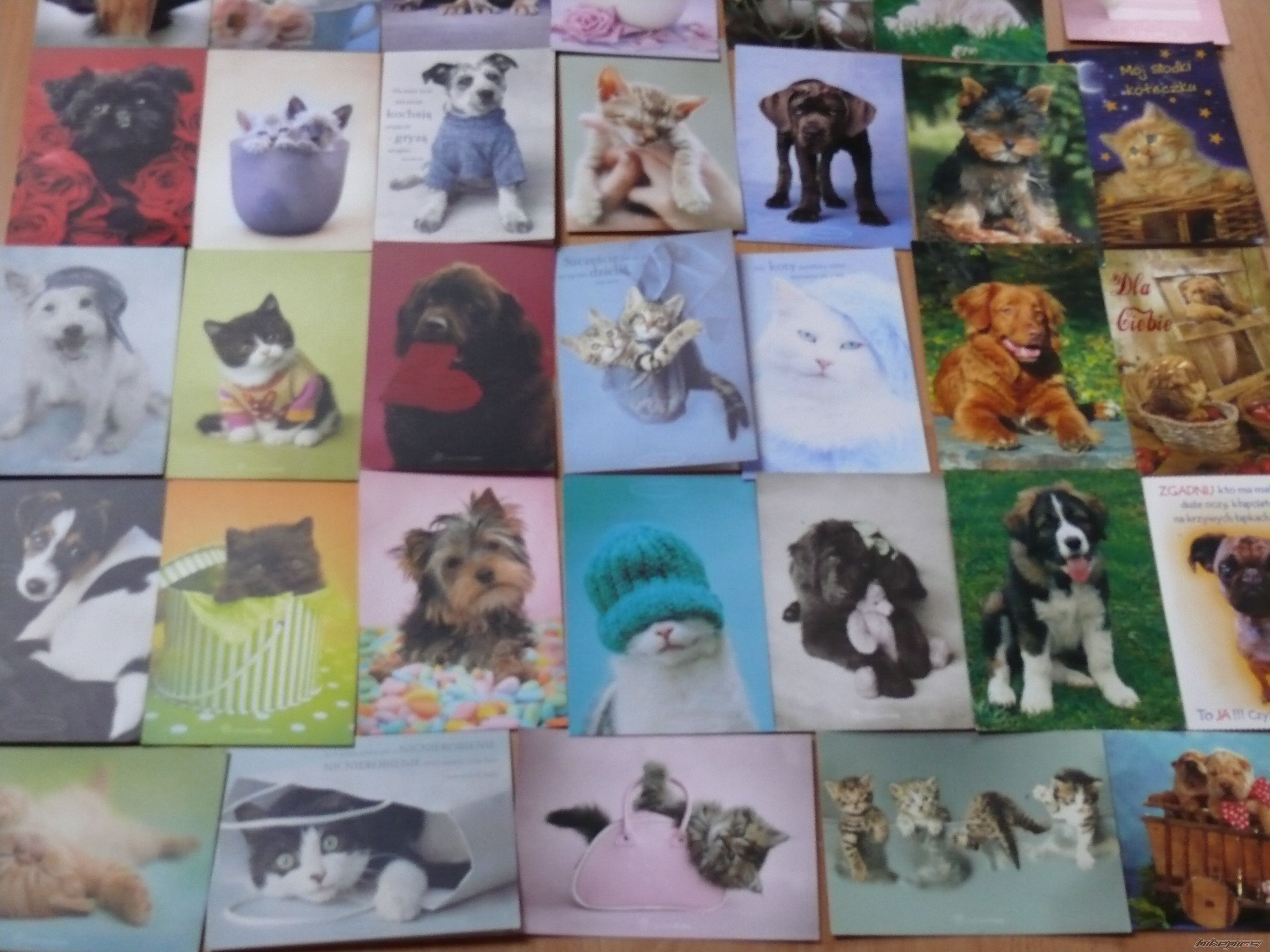 Photo 1739067