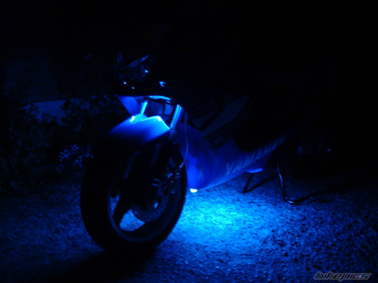 Photo 173910