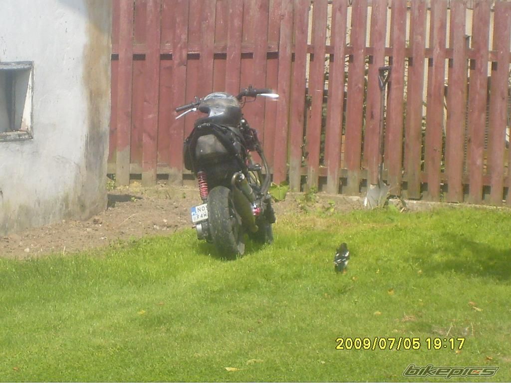 Photo 1739141