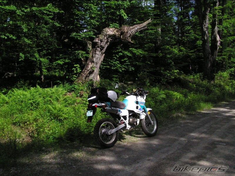 Photo 1739165