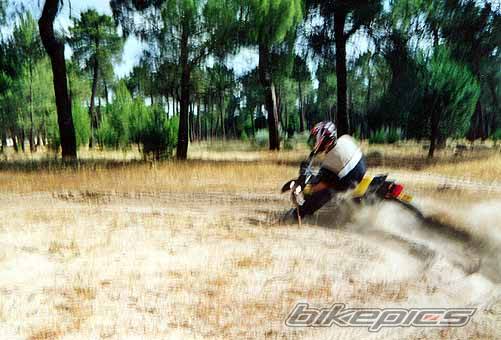Bike Photo 173939