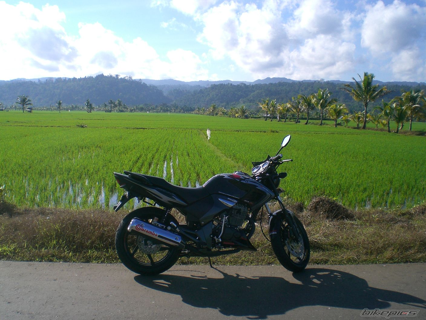 Photo 1739423