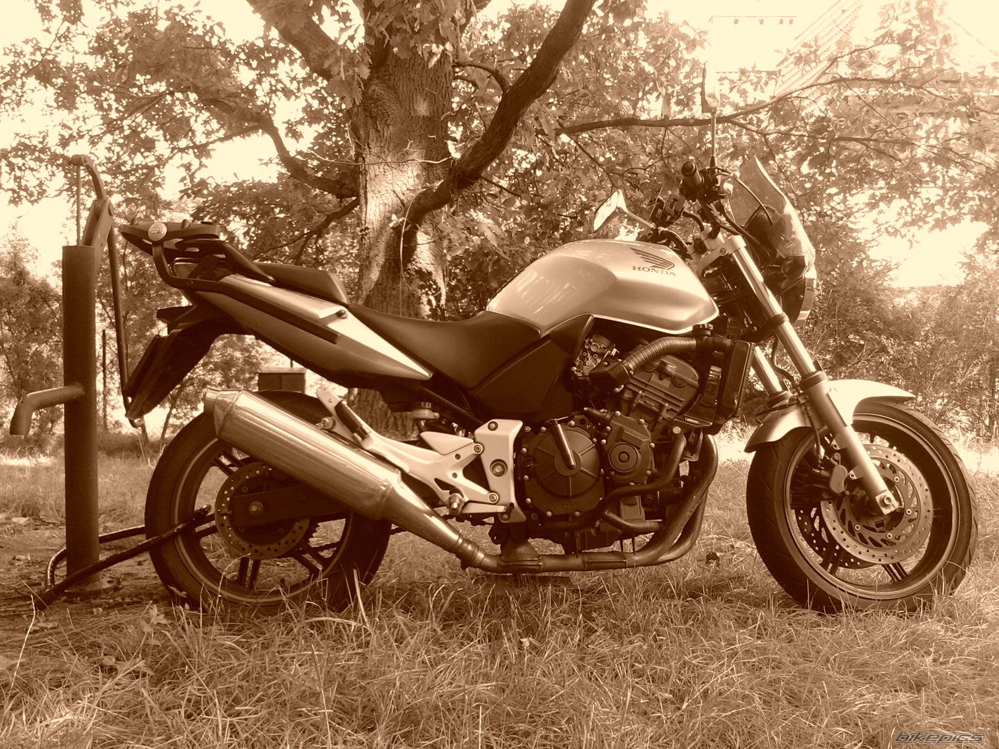 Photo 1739432