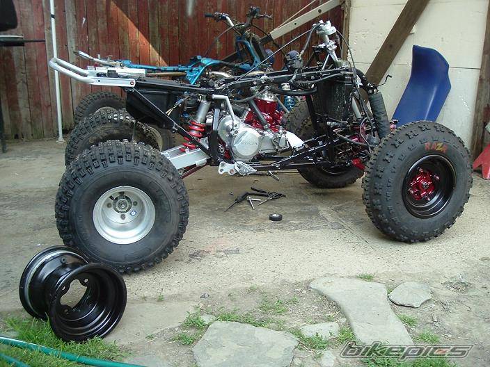 Photo 173956