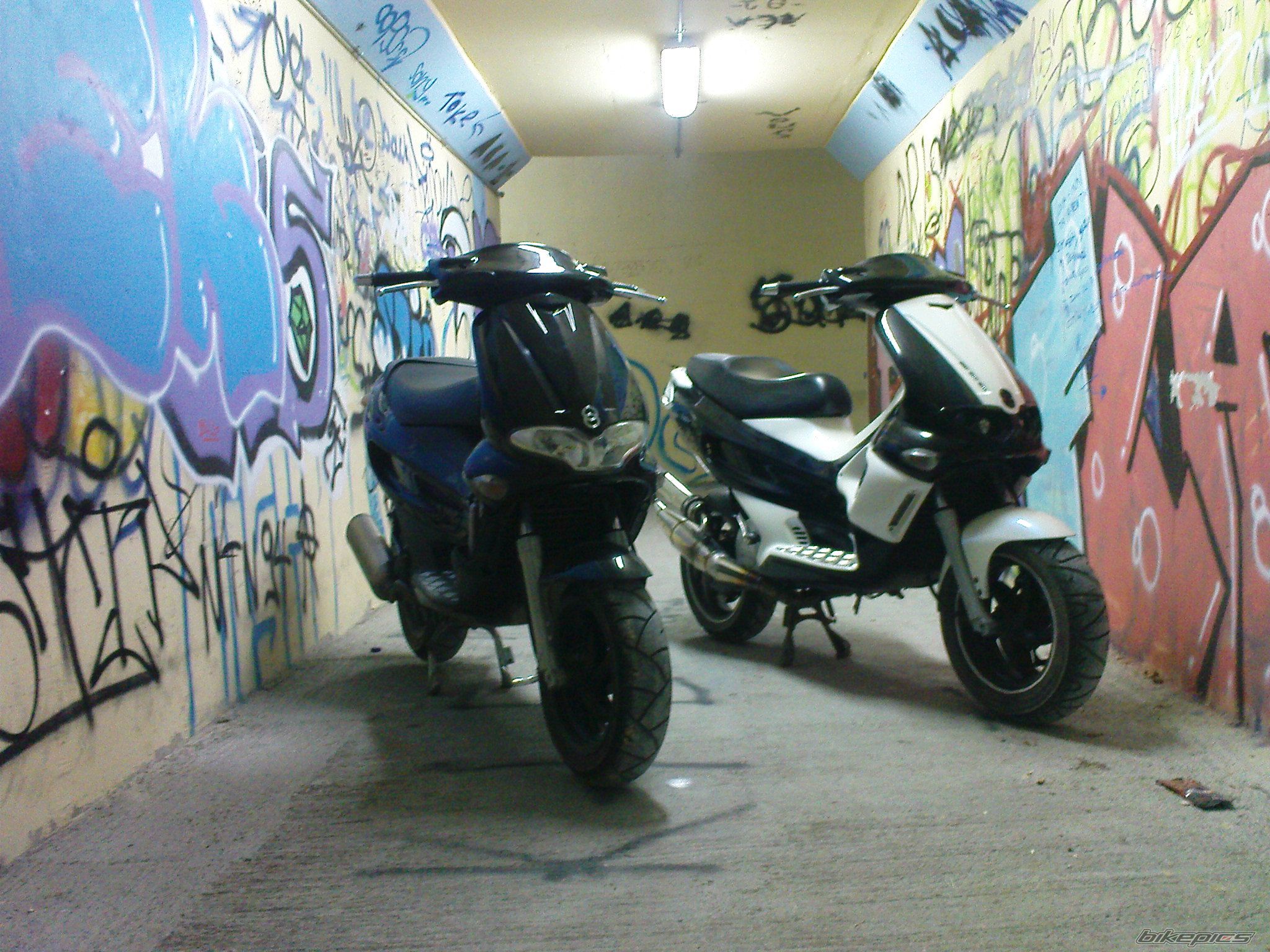 Photo 1739681