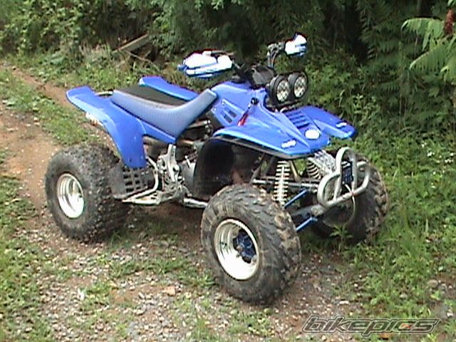 Photo 1739785