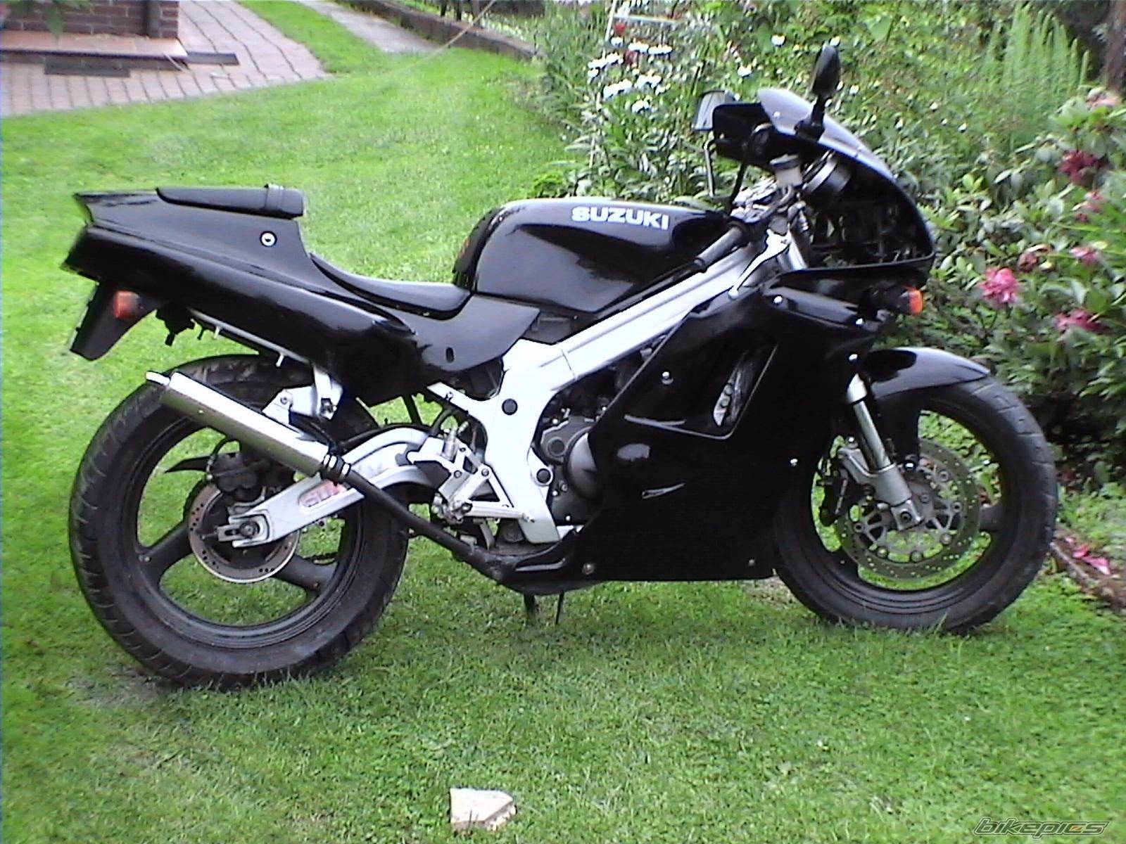 Photo 173986