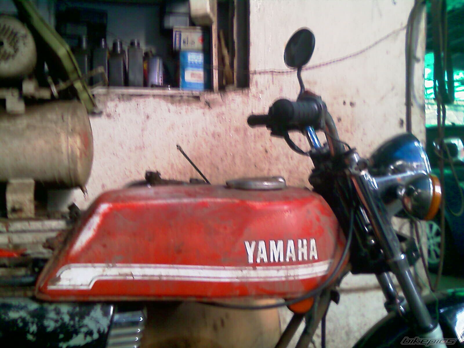 Photo 1739899