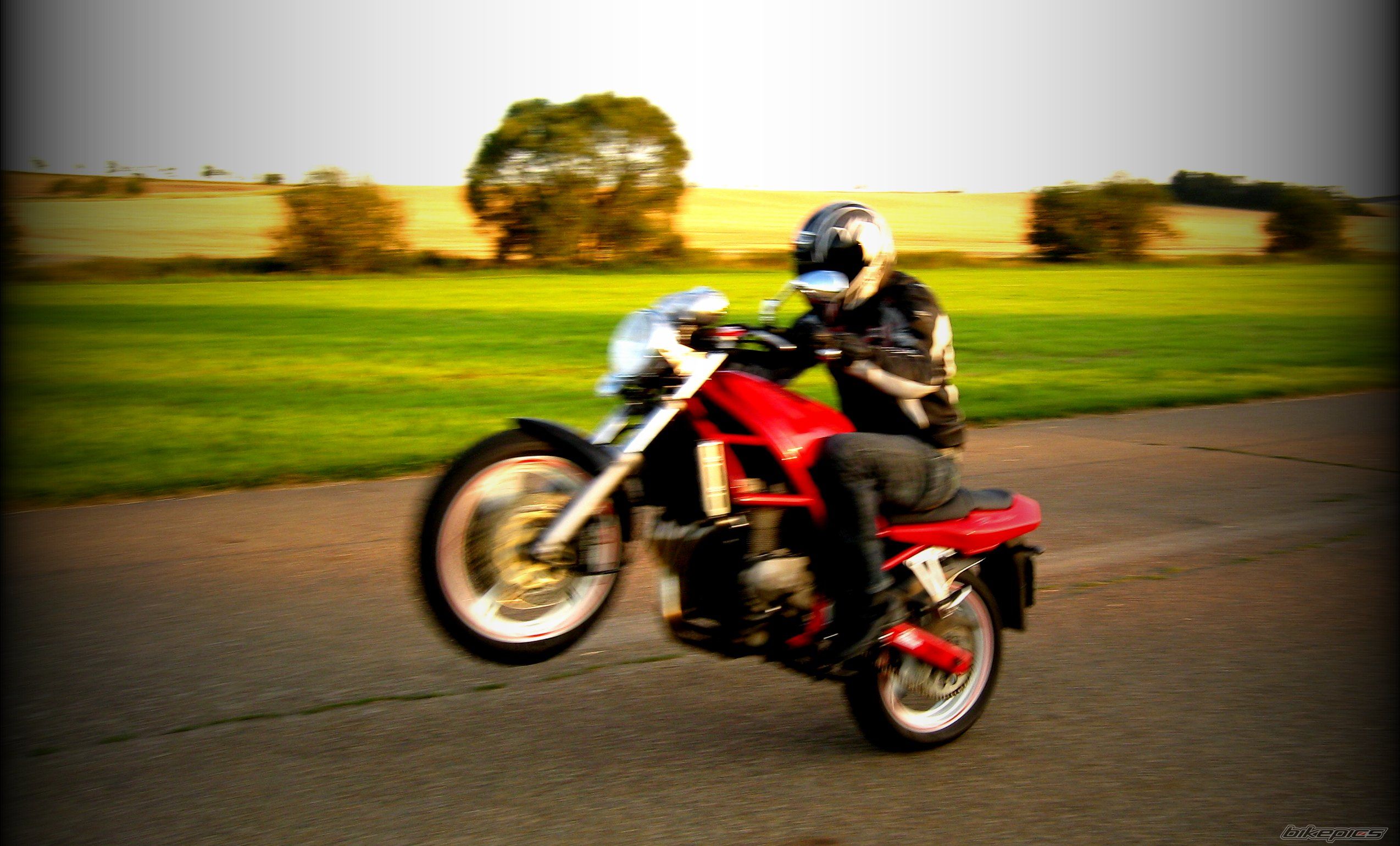 Photo 1739968