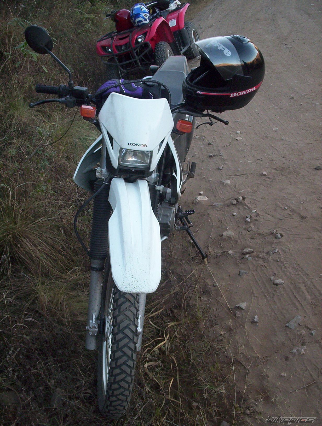 Photo 1740112