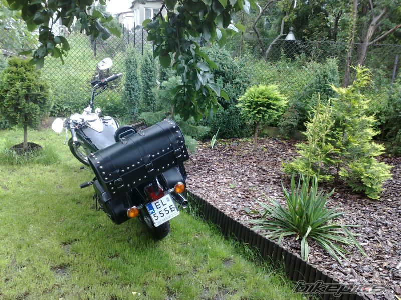 Photo 1740284