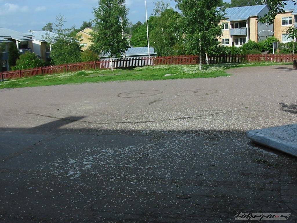 Photo 174029