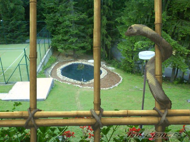 Photo 1740382