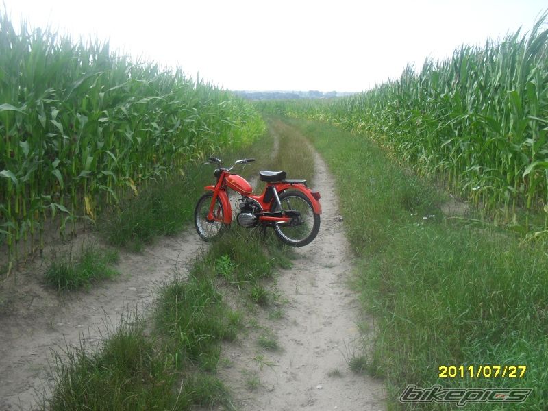Photo 1740538