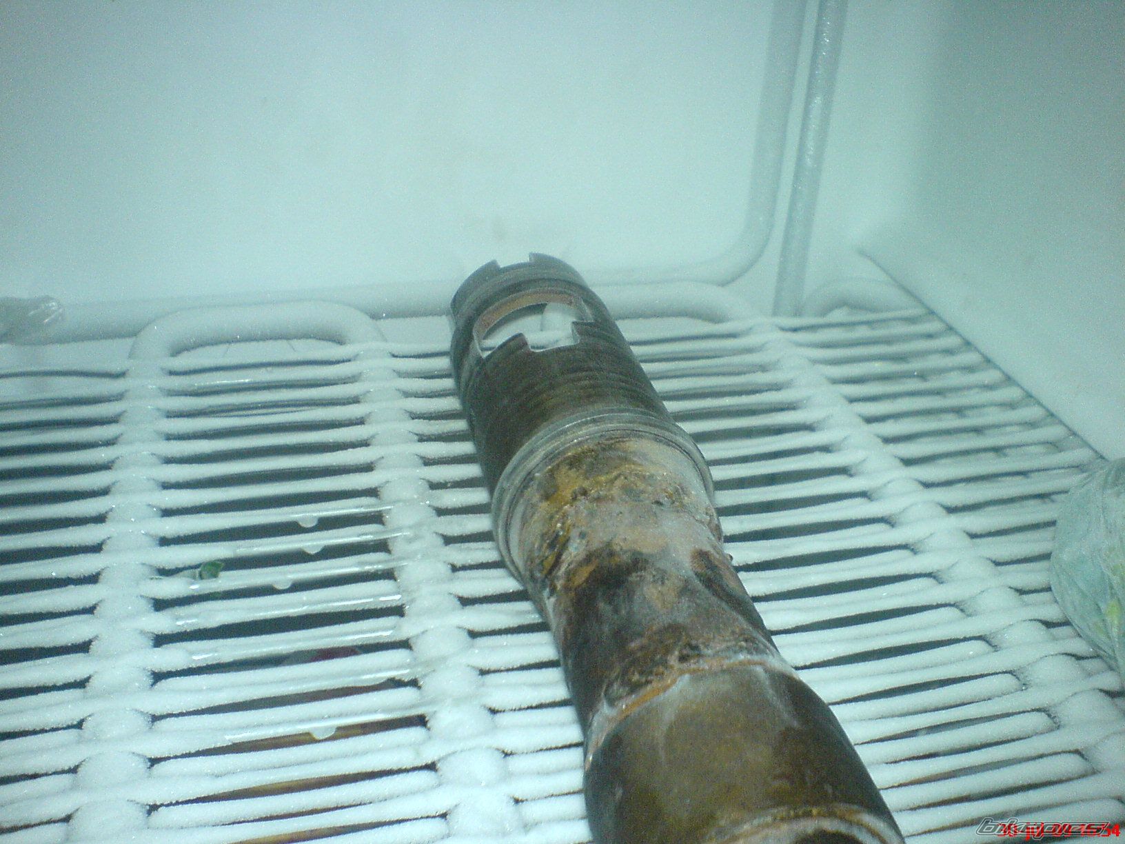 Photo 1740692