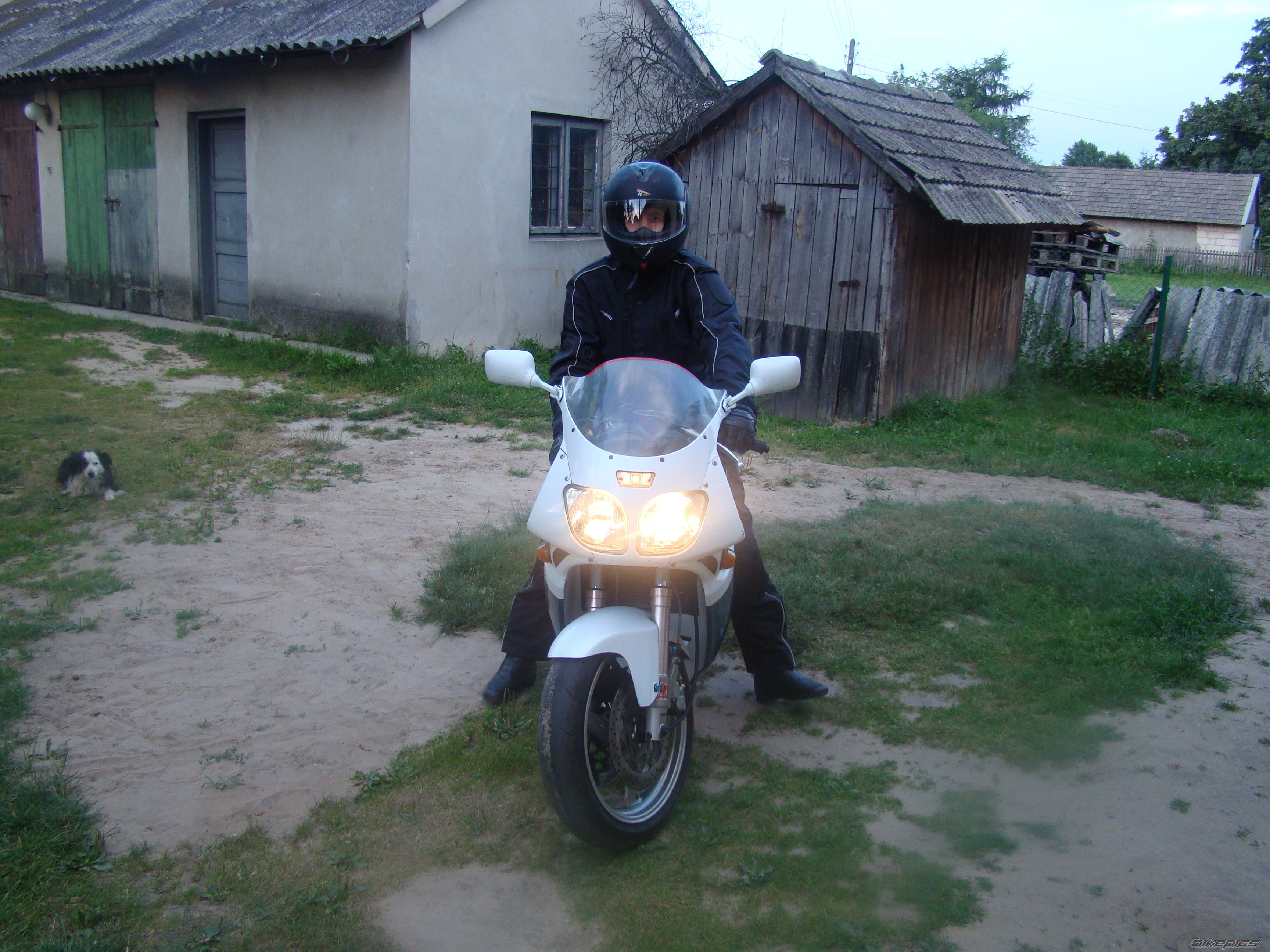 Photo 1741078