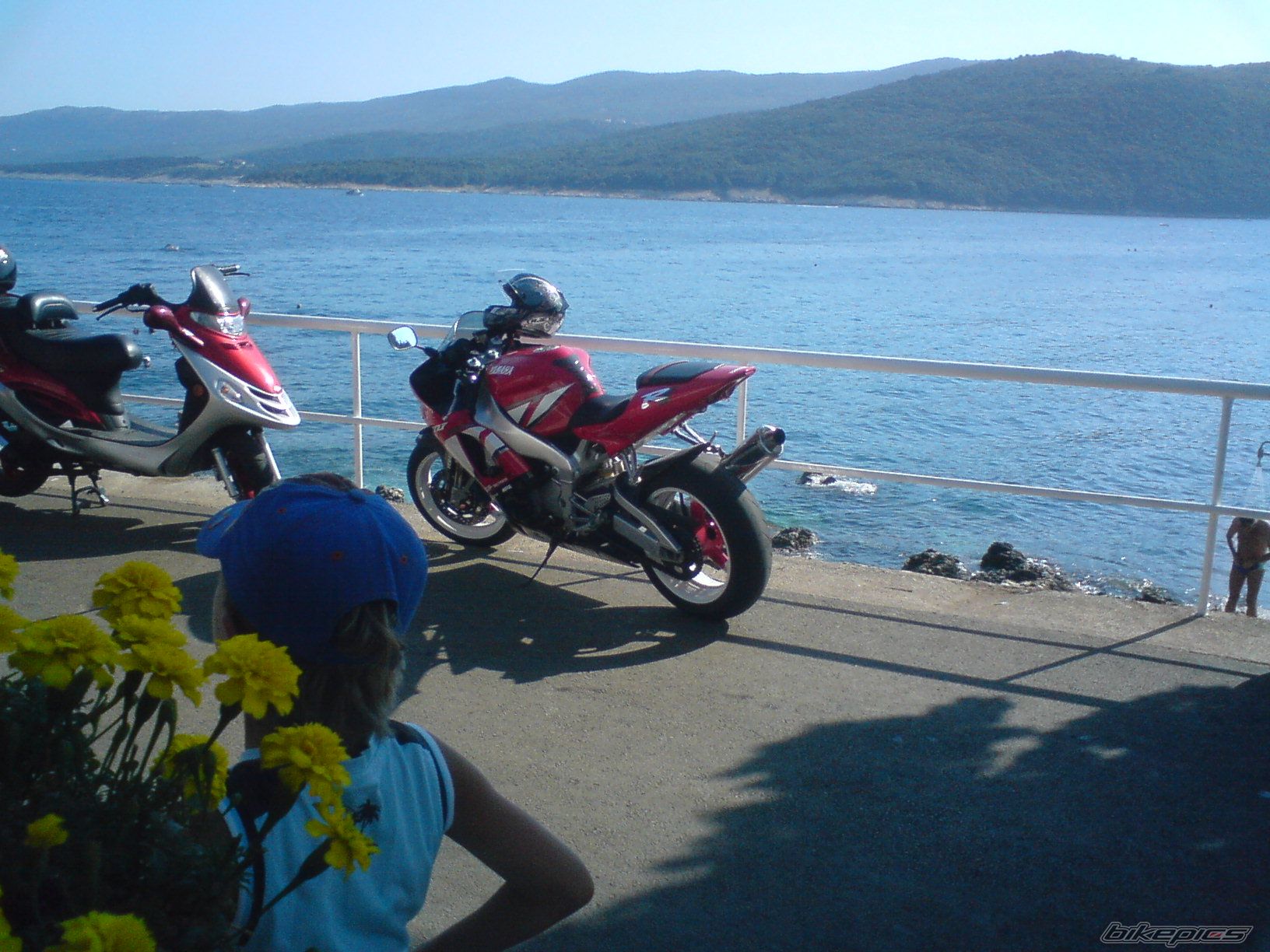 Photo 1741079