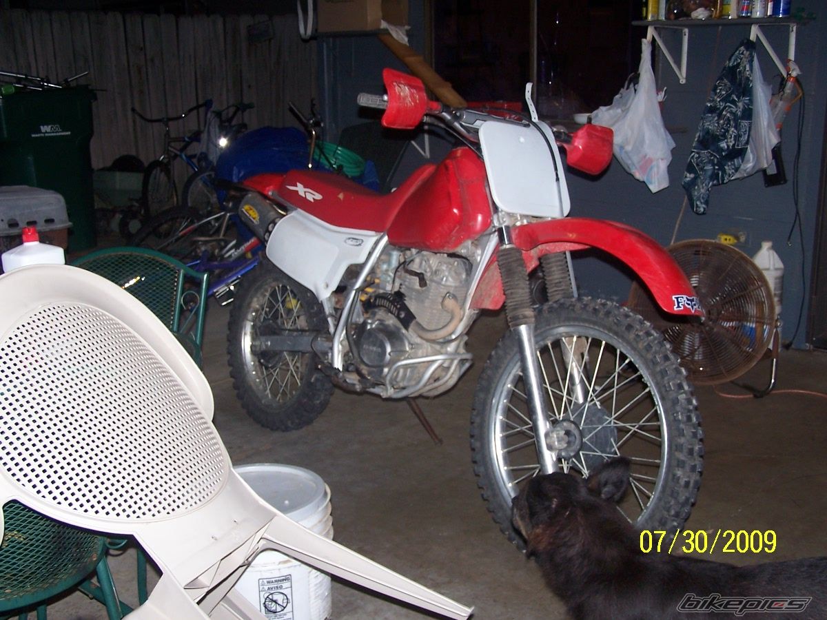 Photo 1741391