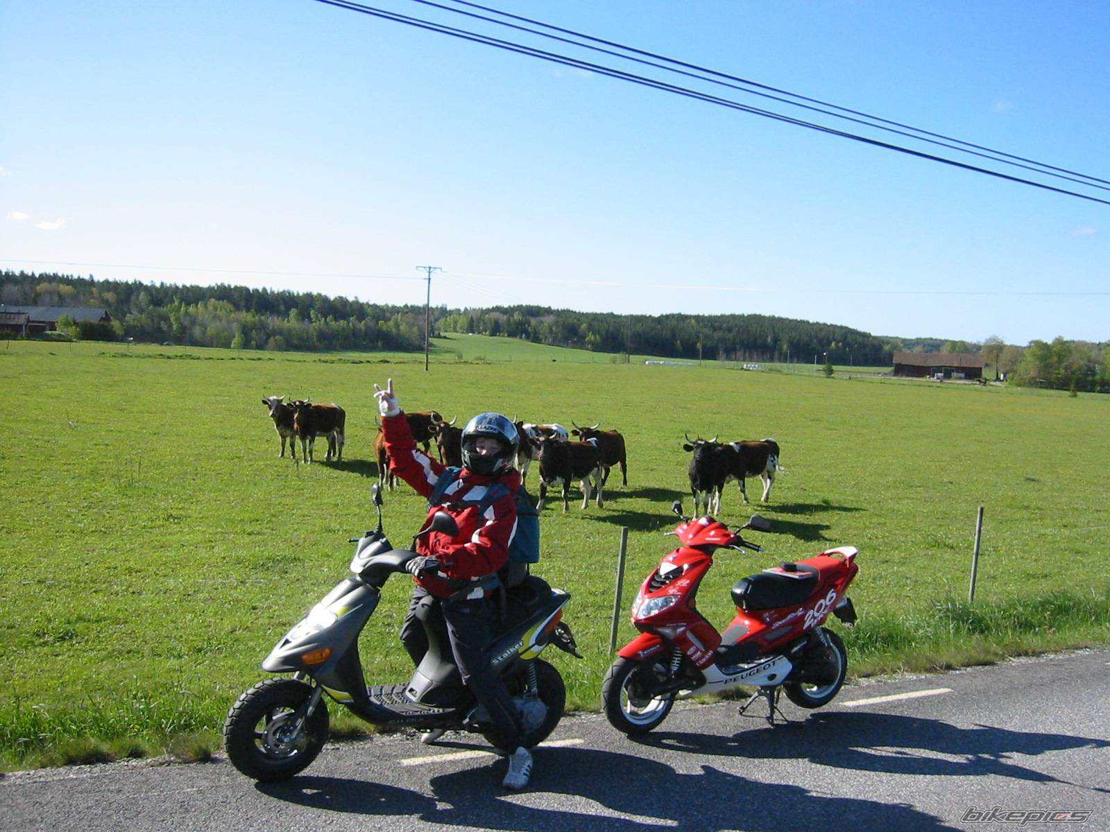 Photo 174140