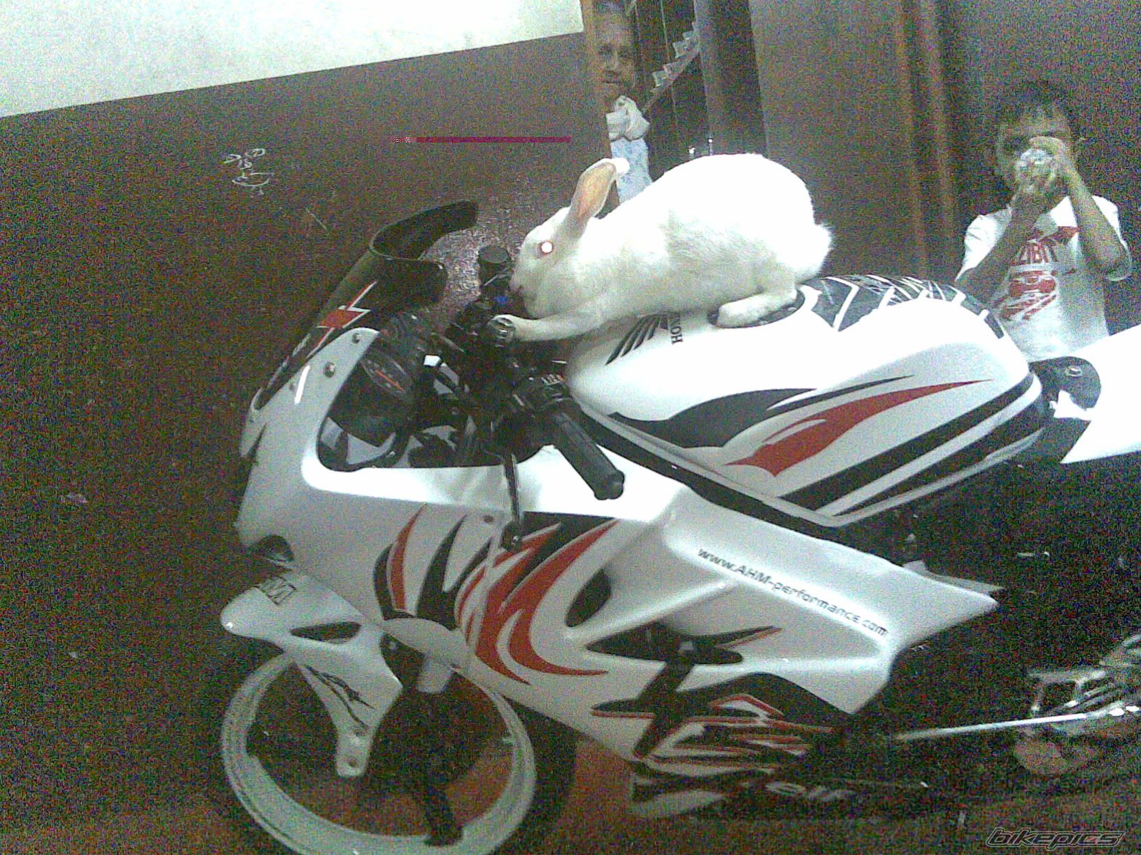 Bike Photo 1741453