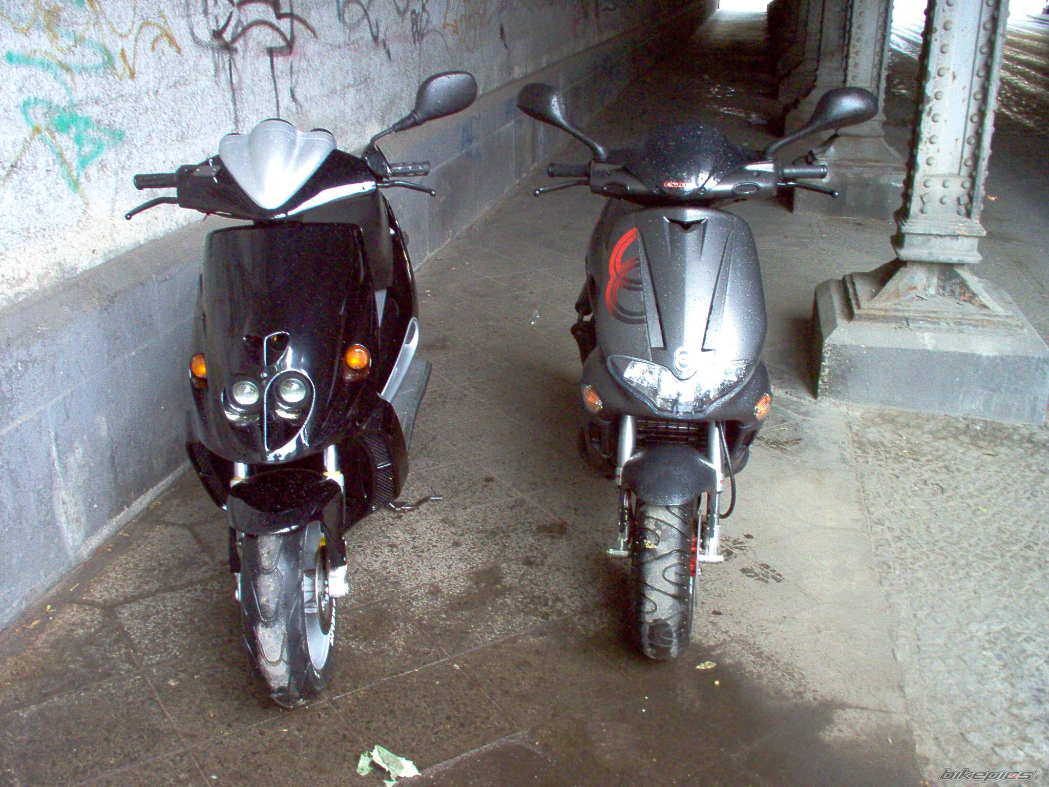 Photo 174160