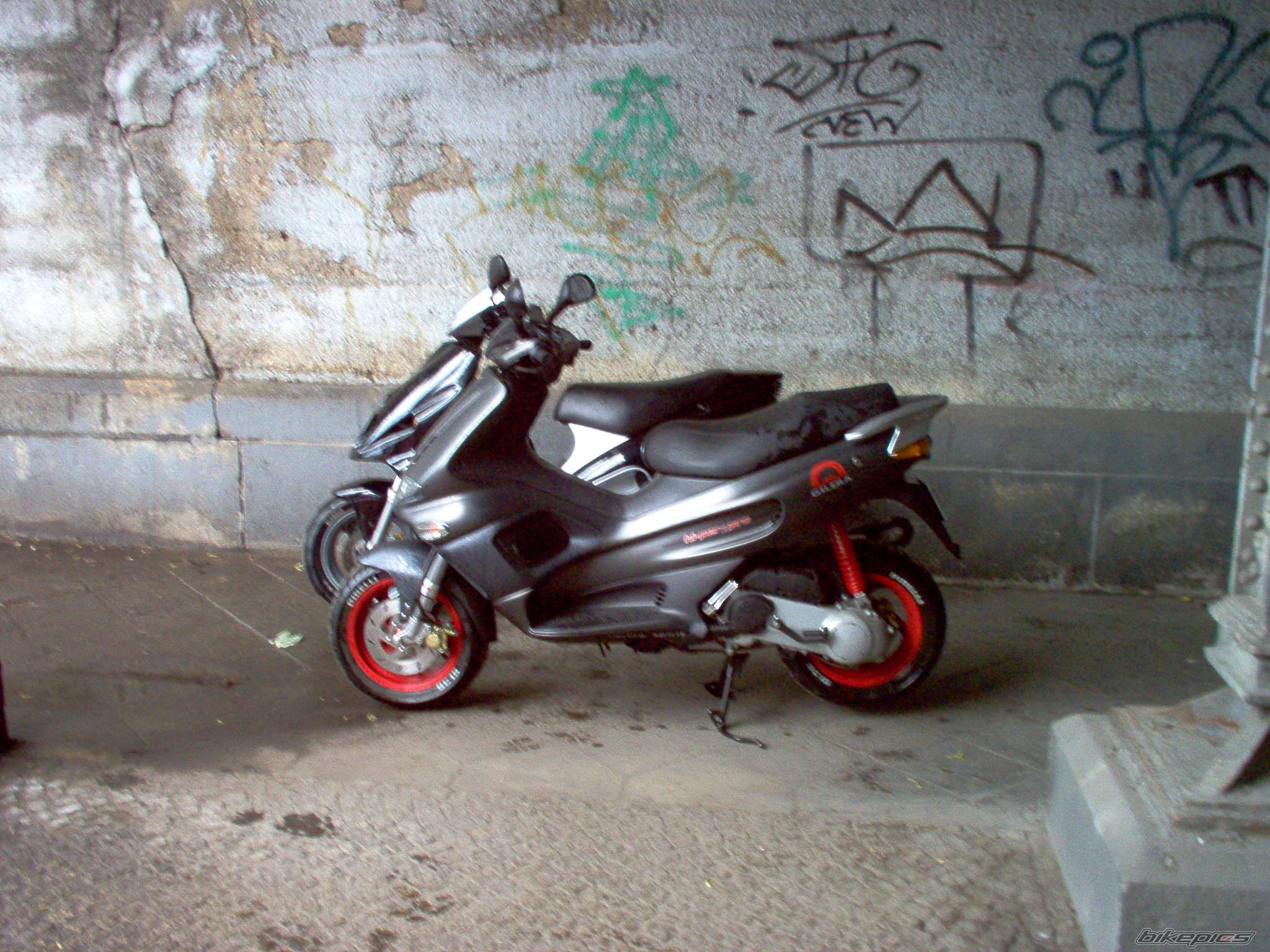 Photo 174161
