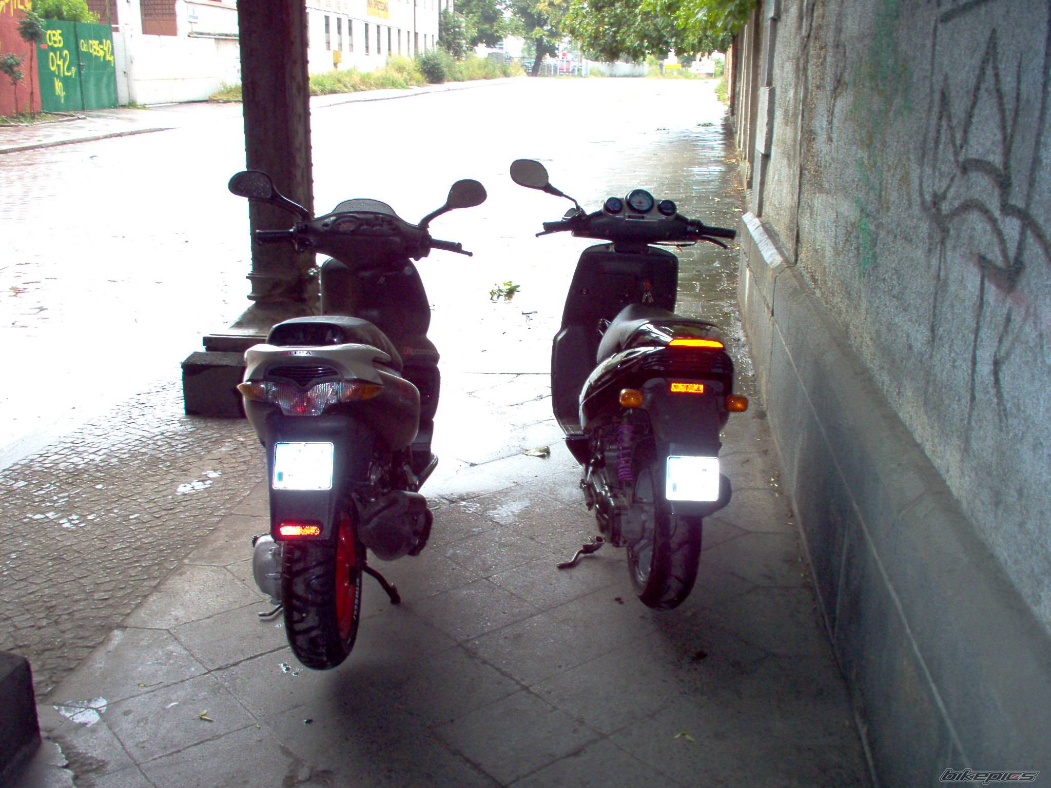 Photo 174163