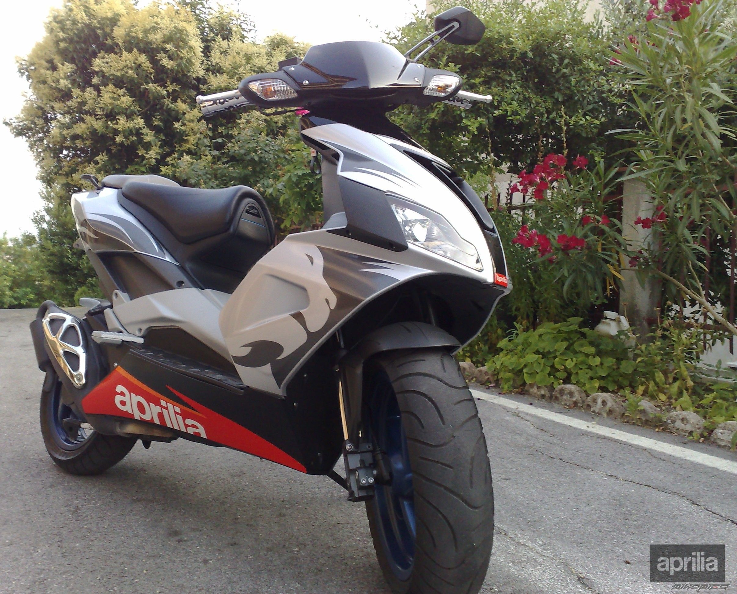 Photo 1741651