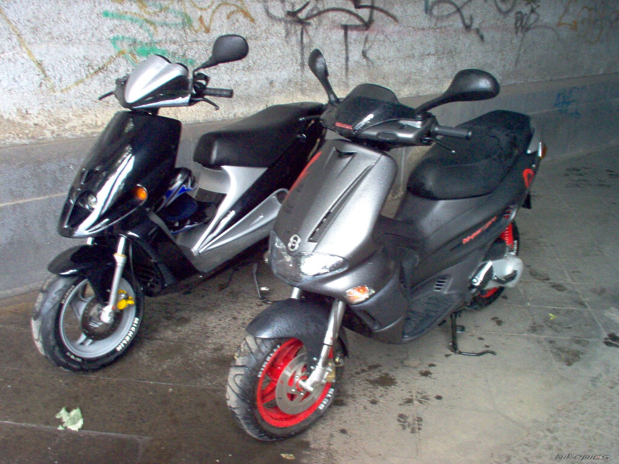 Photo 174174