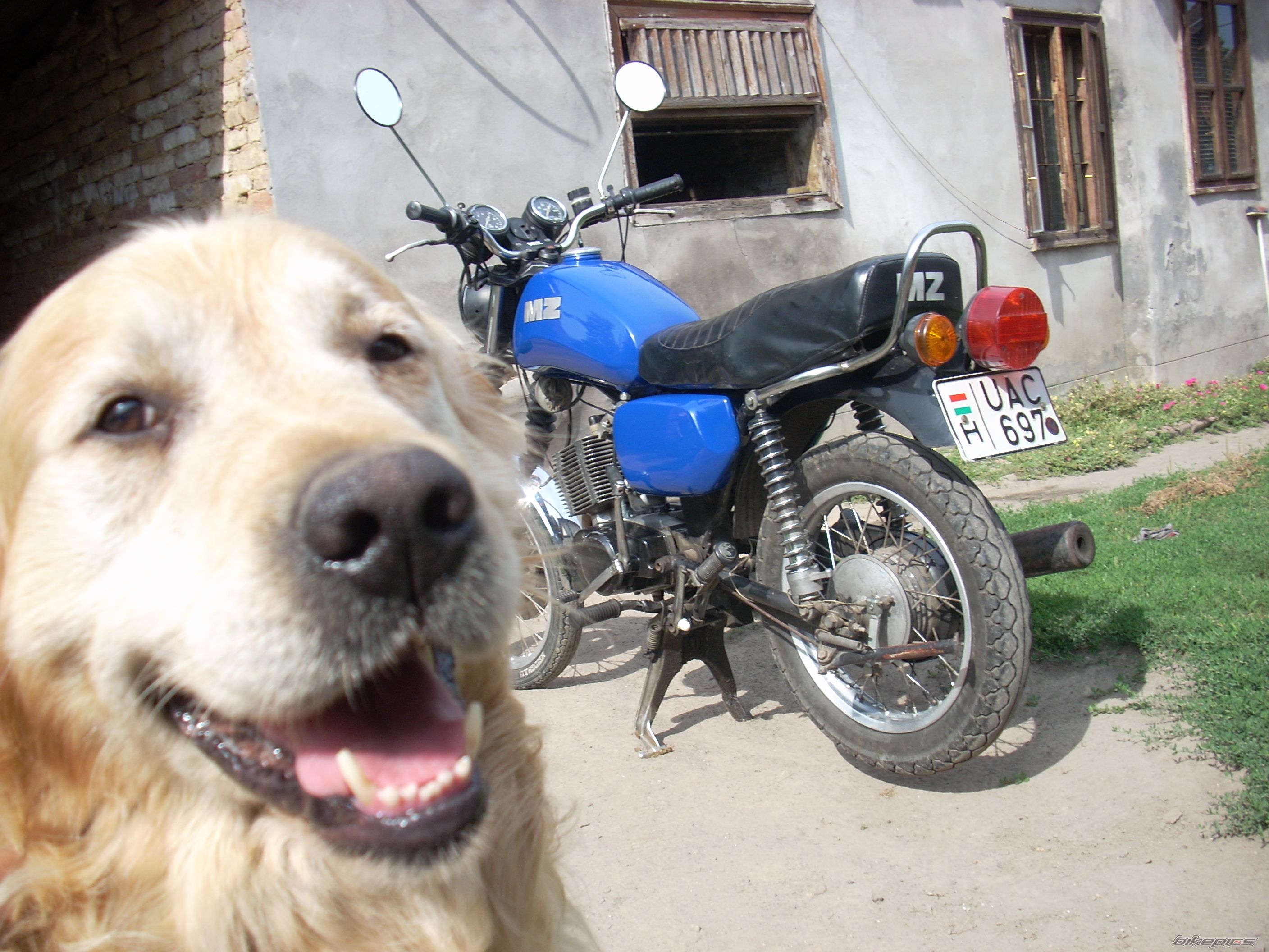 Photo 1741763