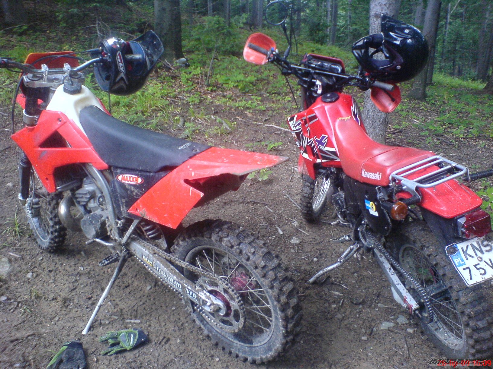 Photo 1741994