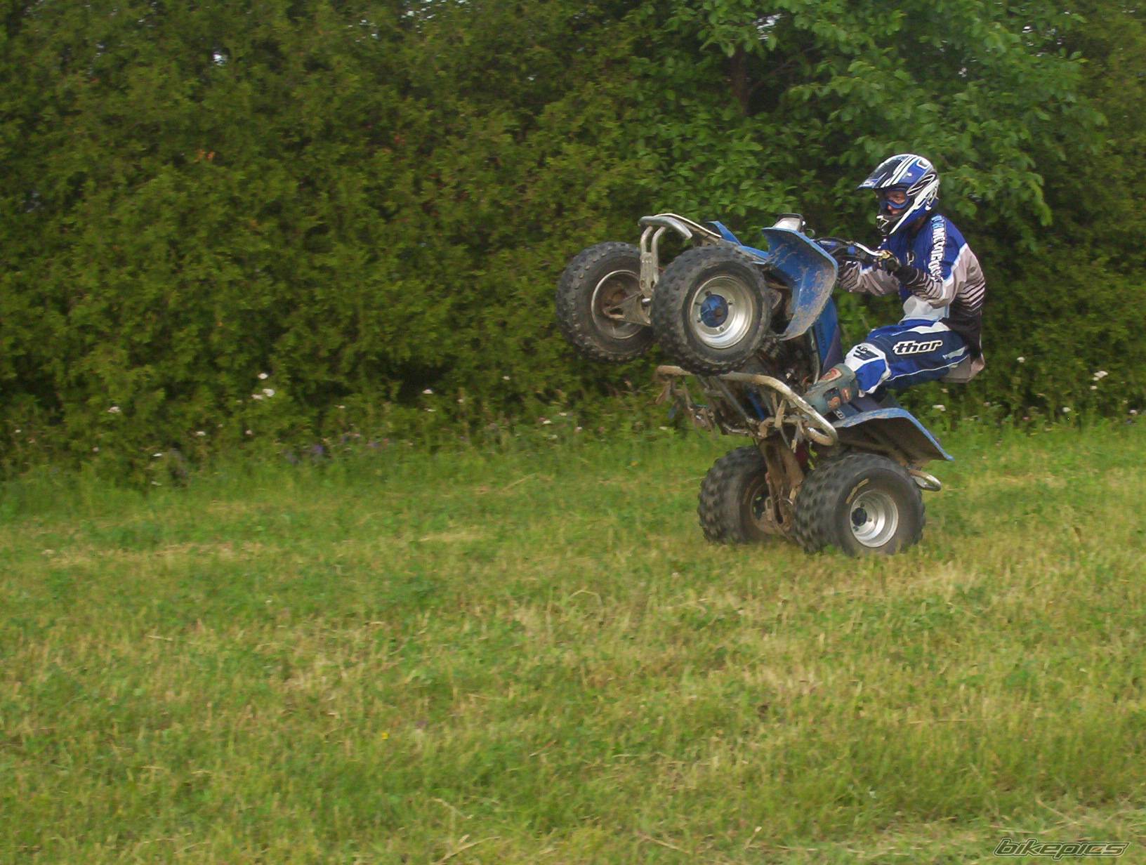 Photo 174205