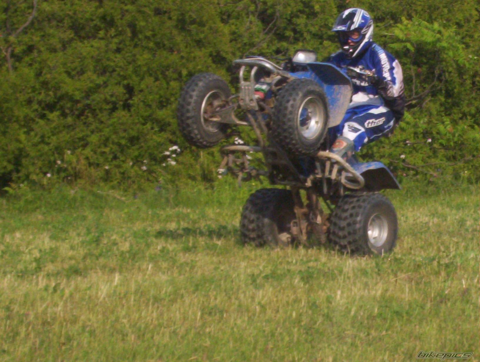 Photo 174206