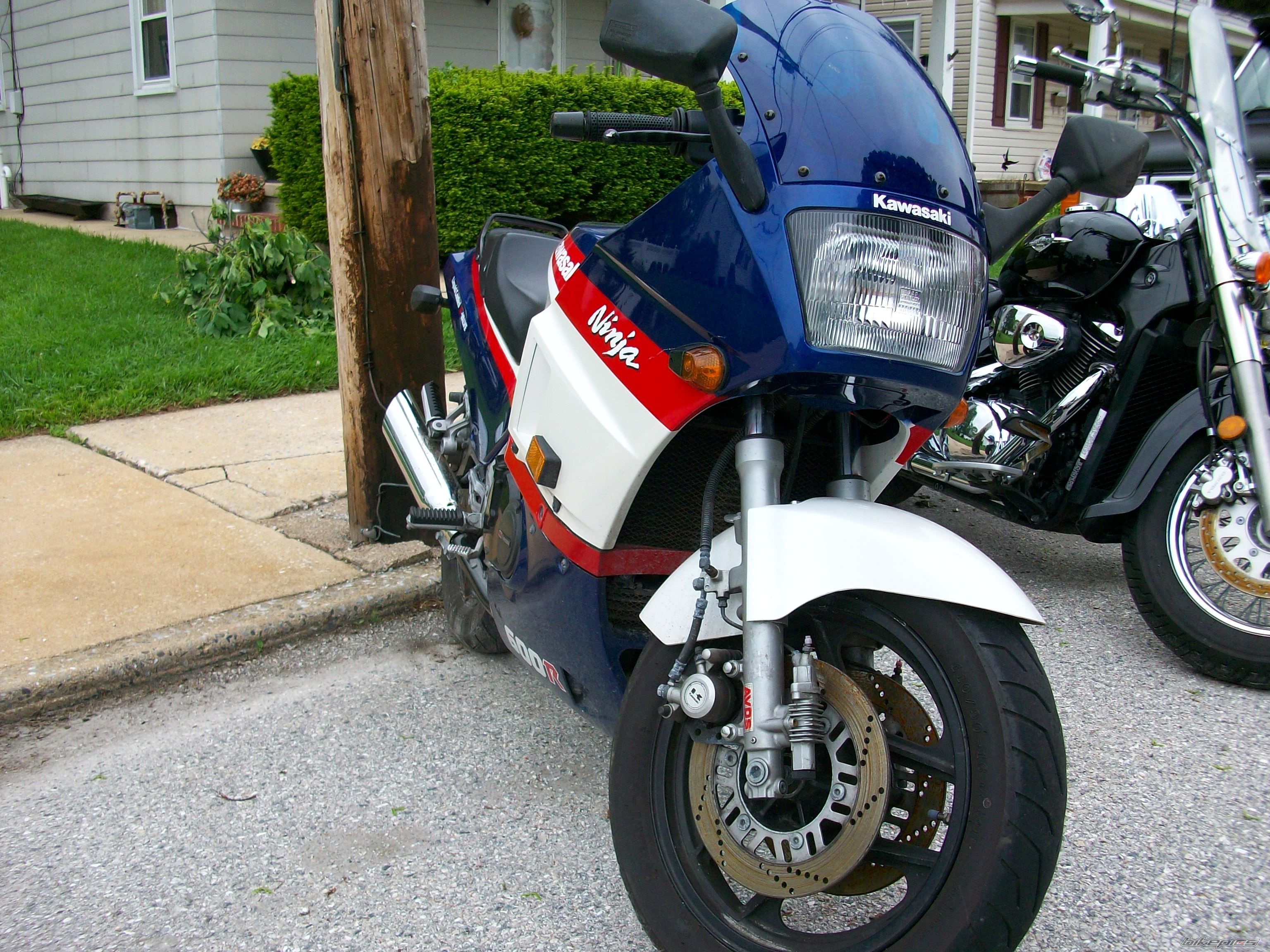 Photo 1742229