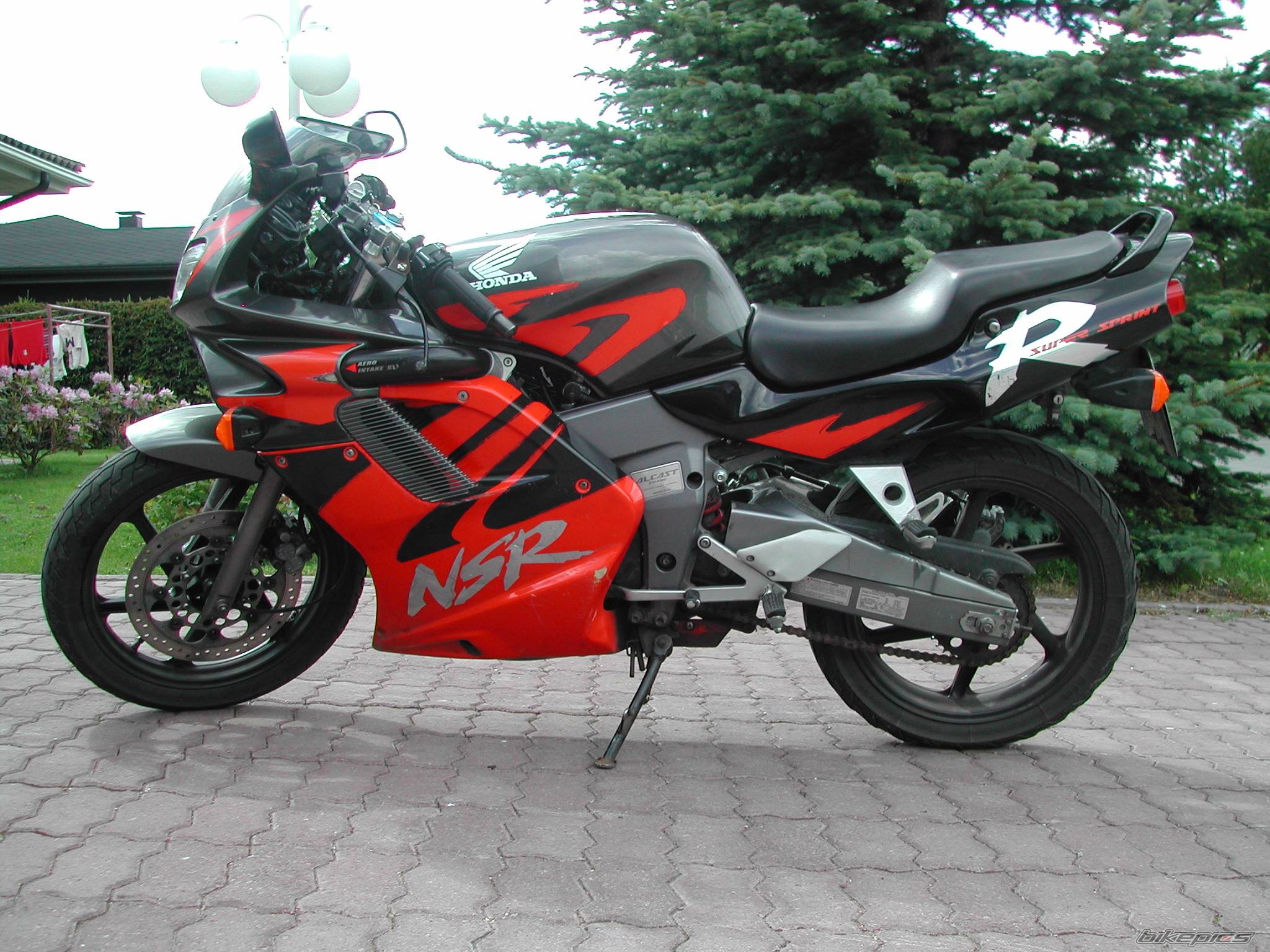 Photo 174242