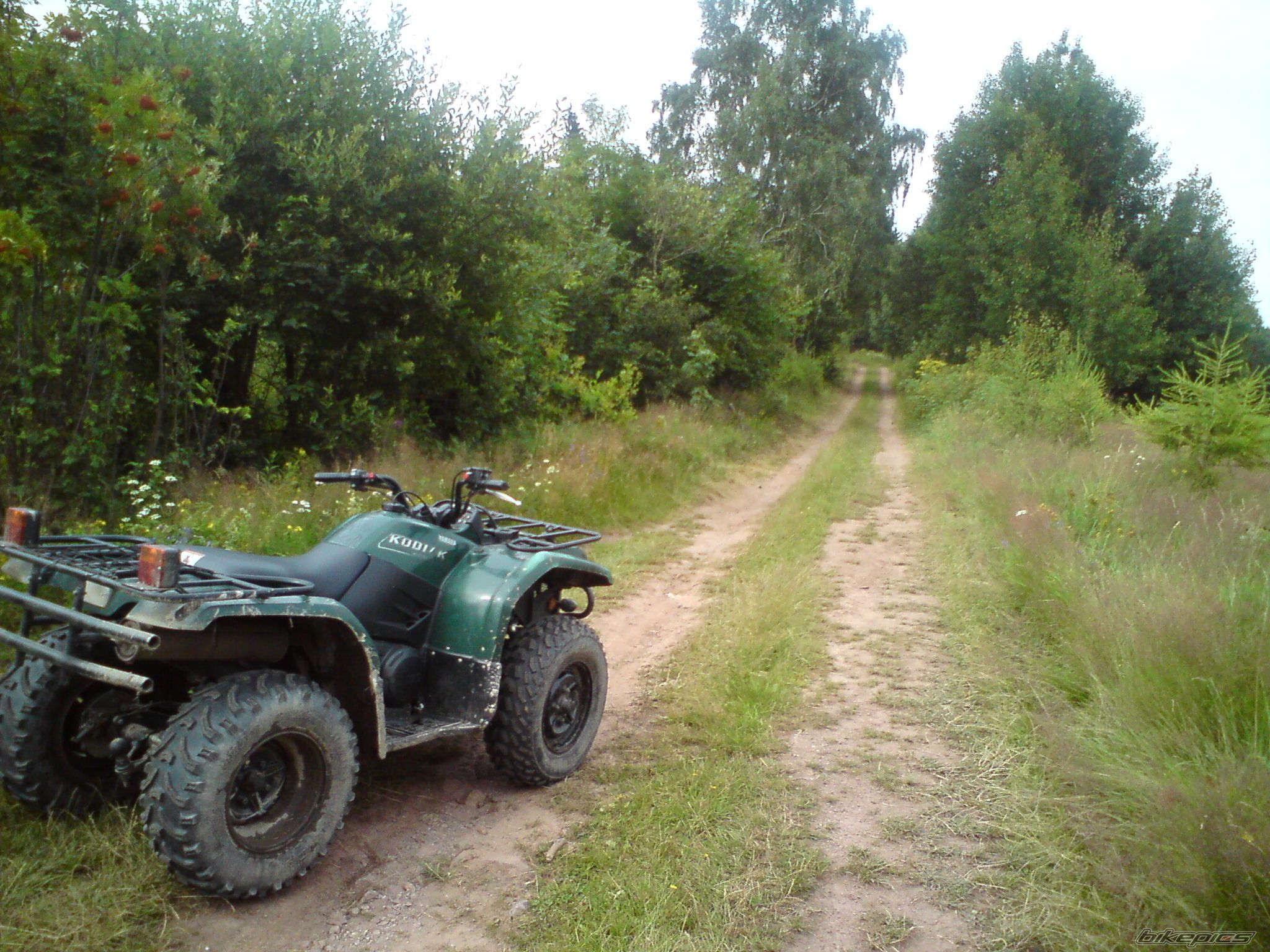Photo 1742655
