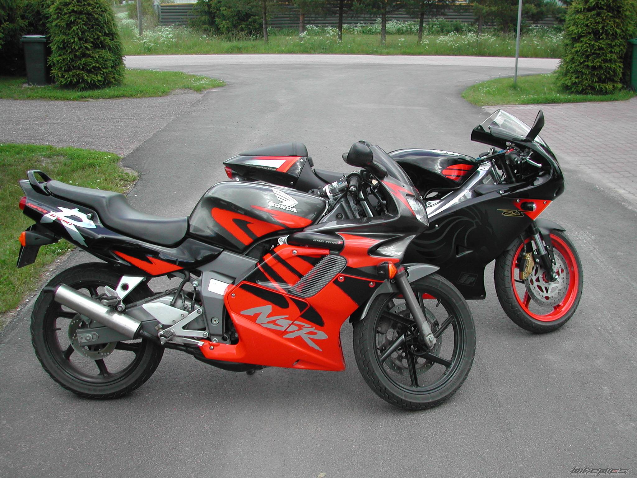 Photo 174266