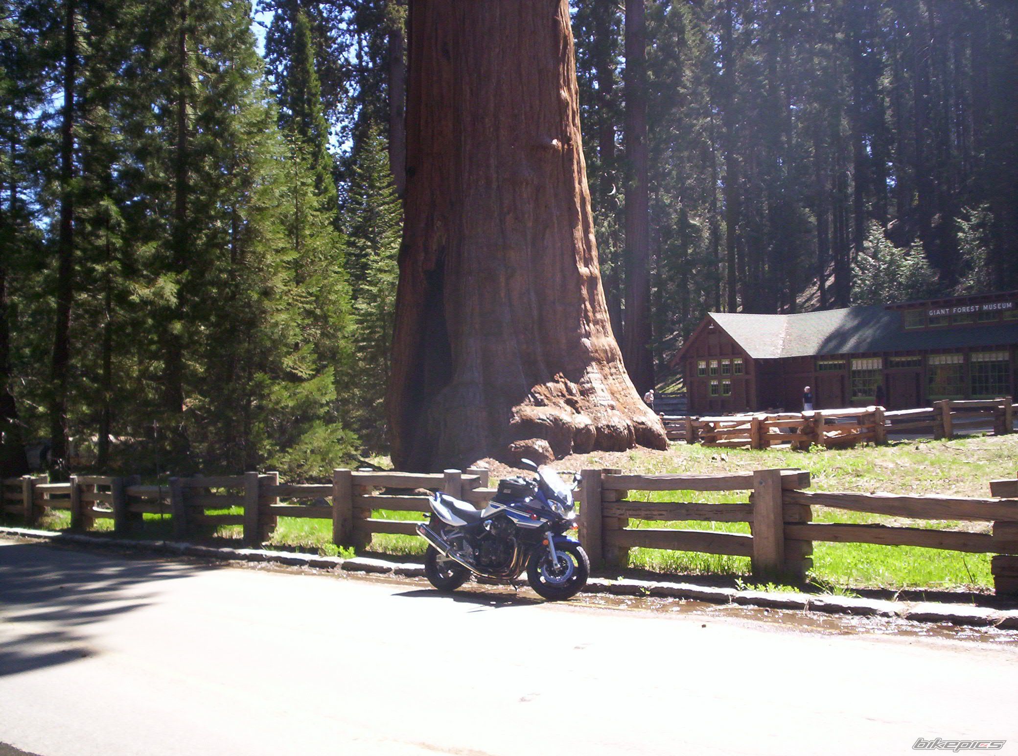 Photo 1742693