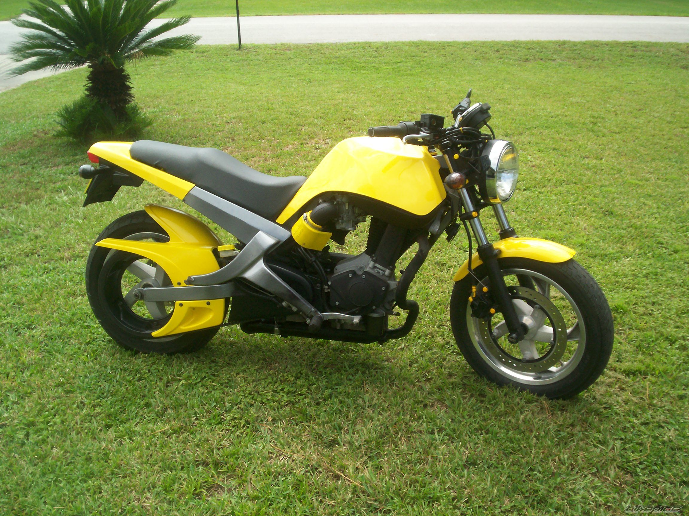Photo 1742748