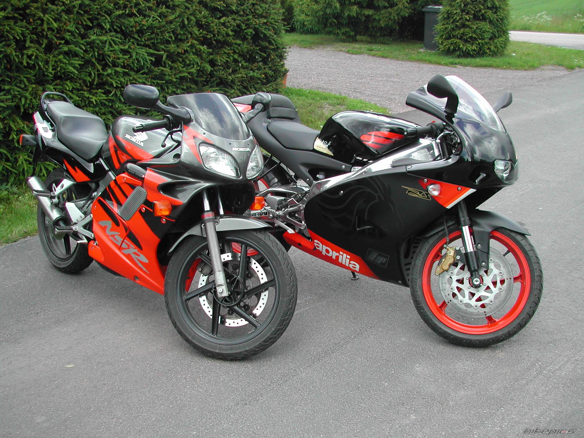 Photo 174277