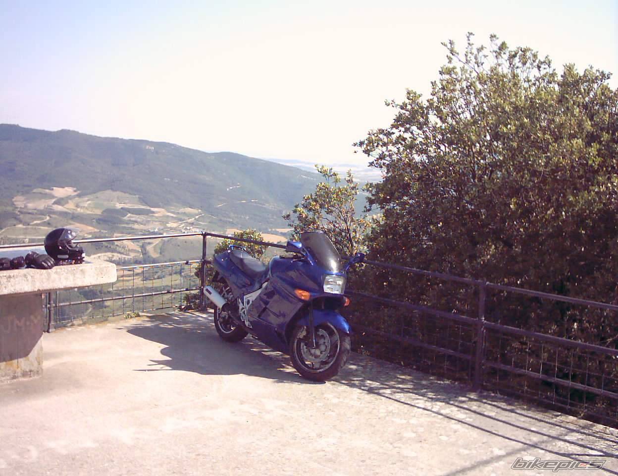 Photo 174286